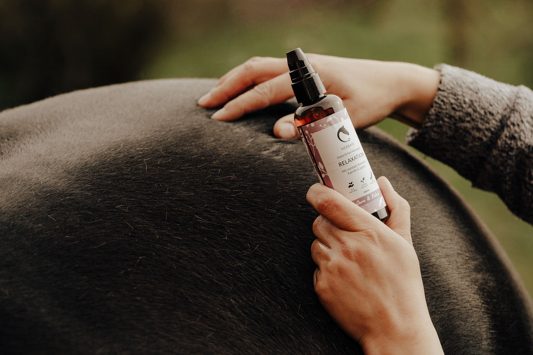 Relaxation Massageöl